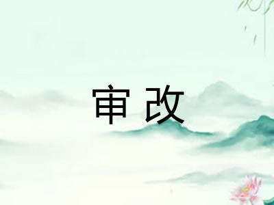 审改