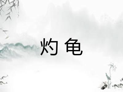 灼龟 灼龟